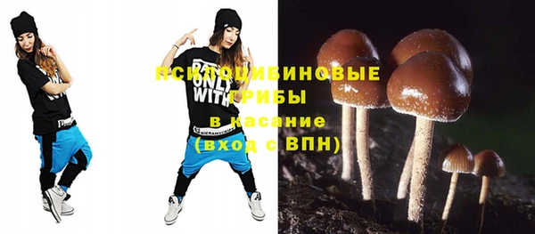 дмт Алексеевка