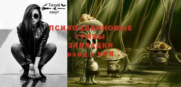 дмт Алексеевка