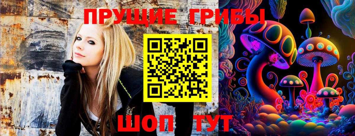 Псилоцибиновые грибы Psilocybine cubensis Ярцево